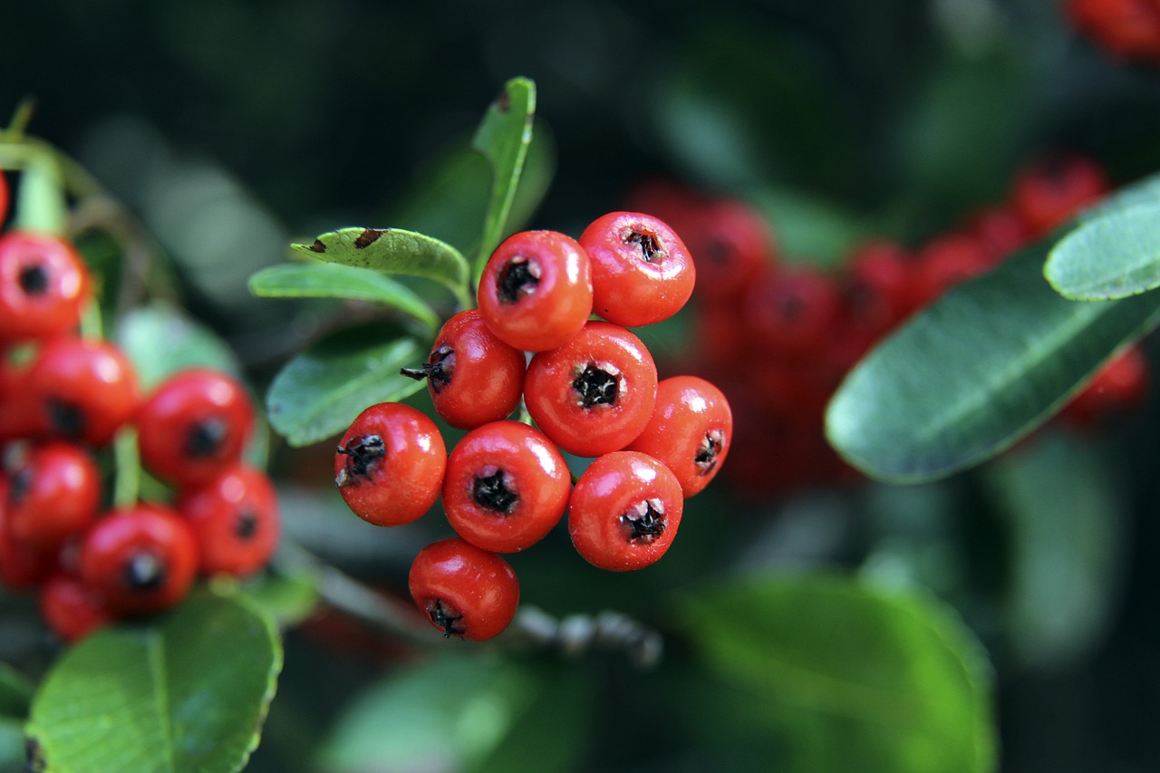 发展环境浮 发展环境浮