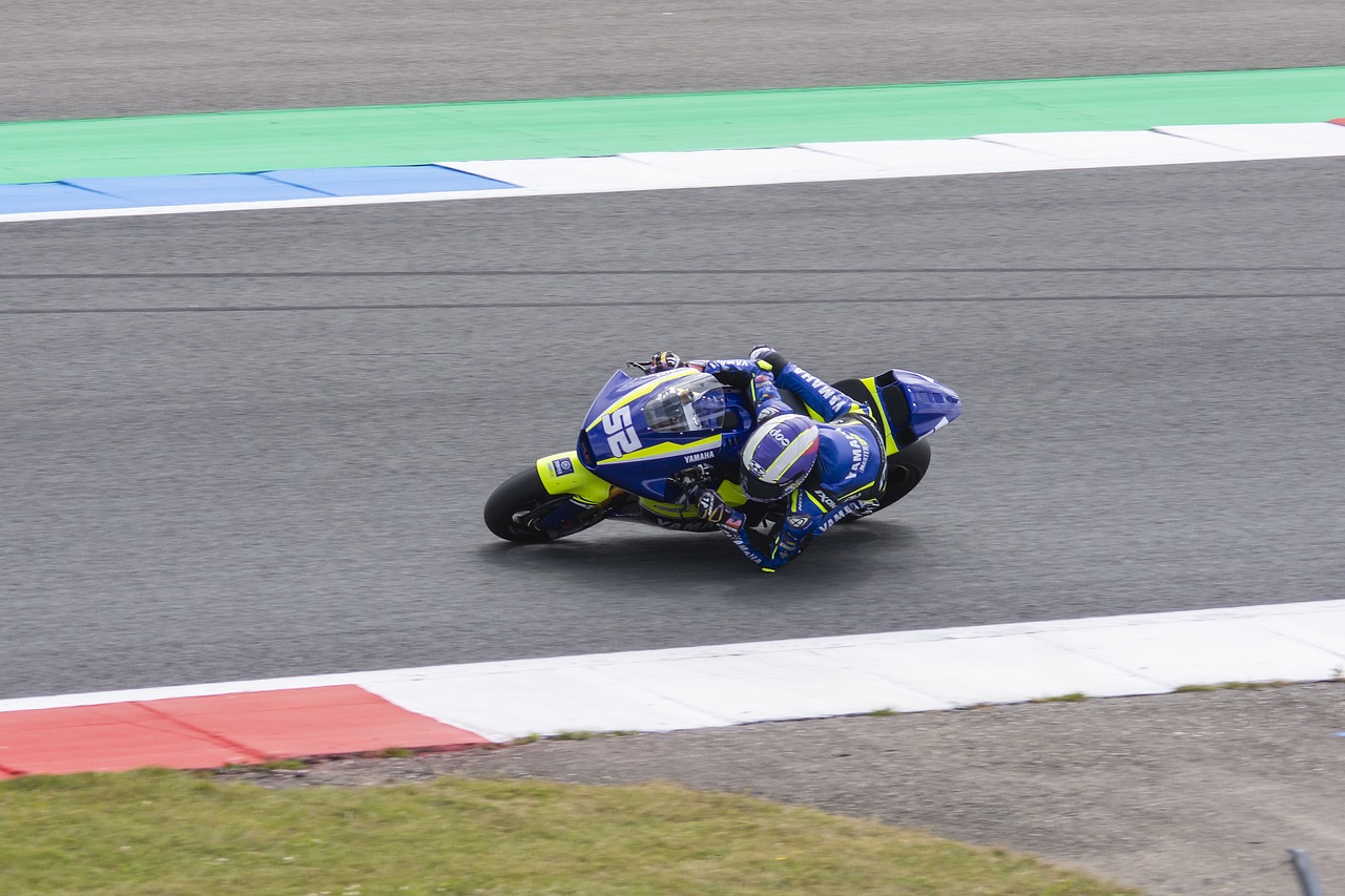 举办国际赛 举办国际赛